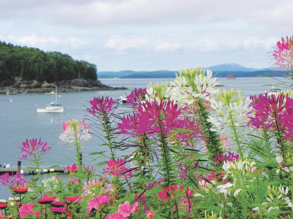 Bar Harbor Inn And Spa Exterior photo